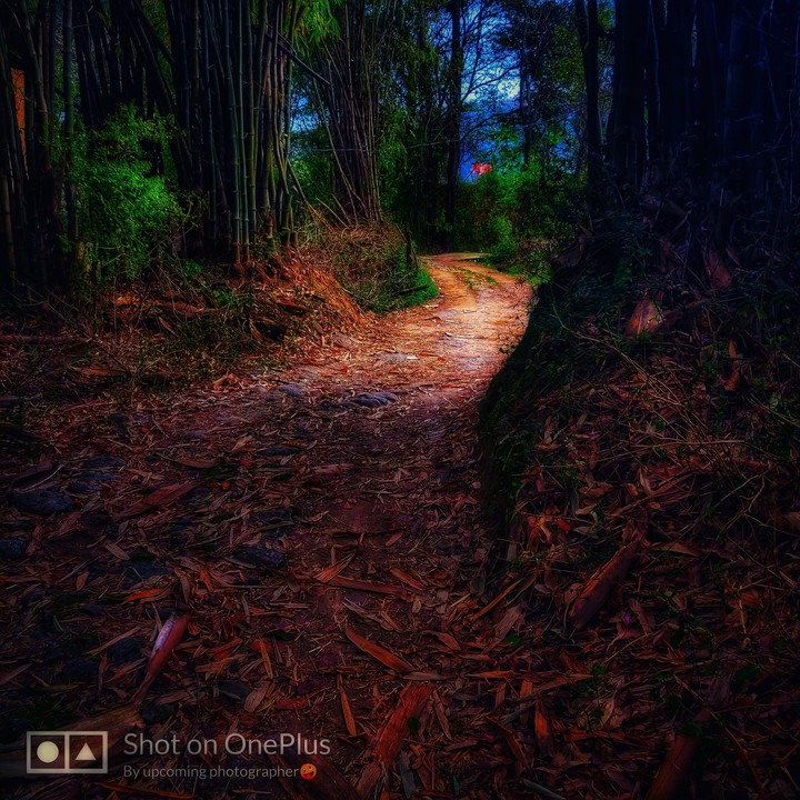 nature