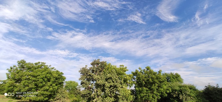 Nature