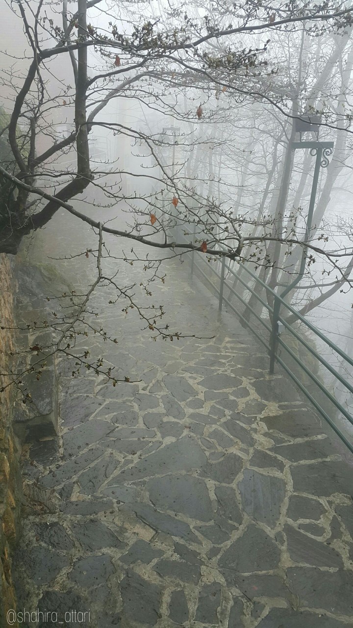 foggy