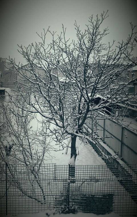 winter