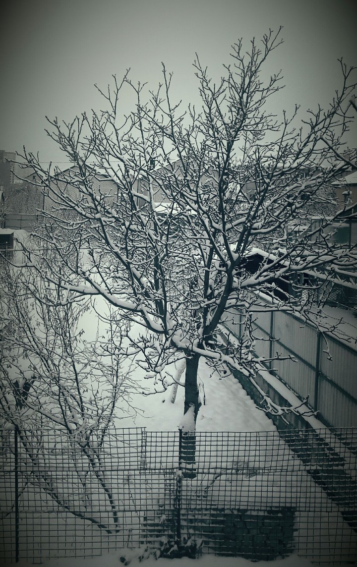 winter