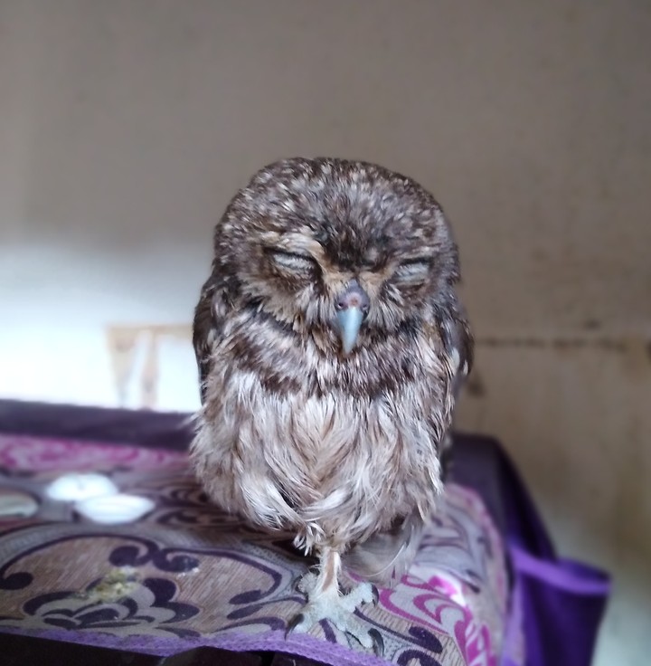 #so cute