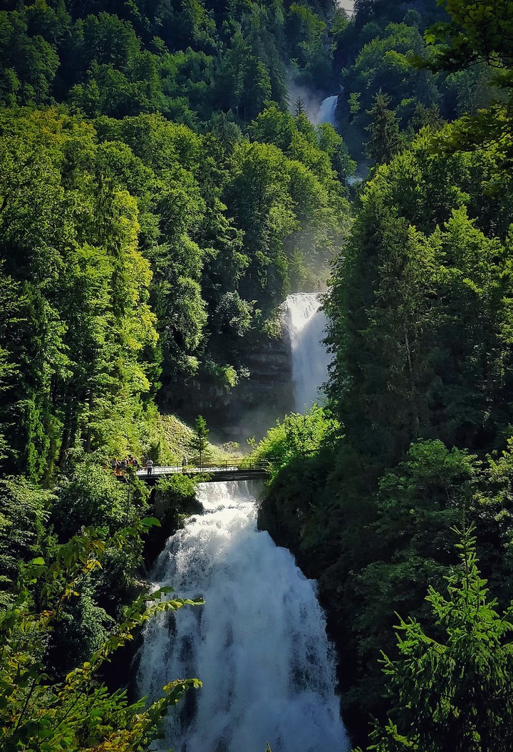 Waterfall in Jungle