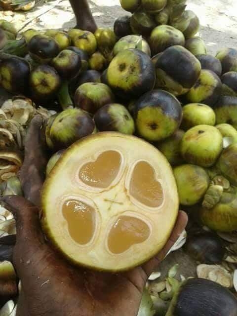 Healthy Tender