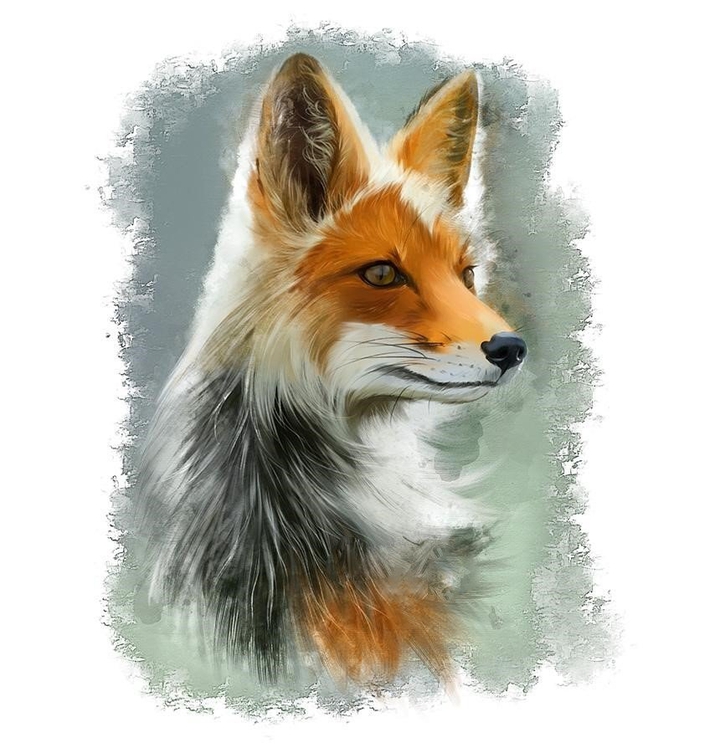 fox