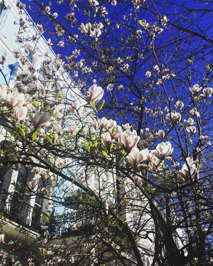 Spring in the city