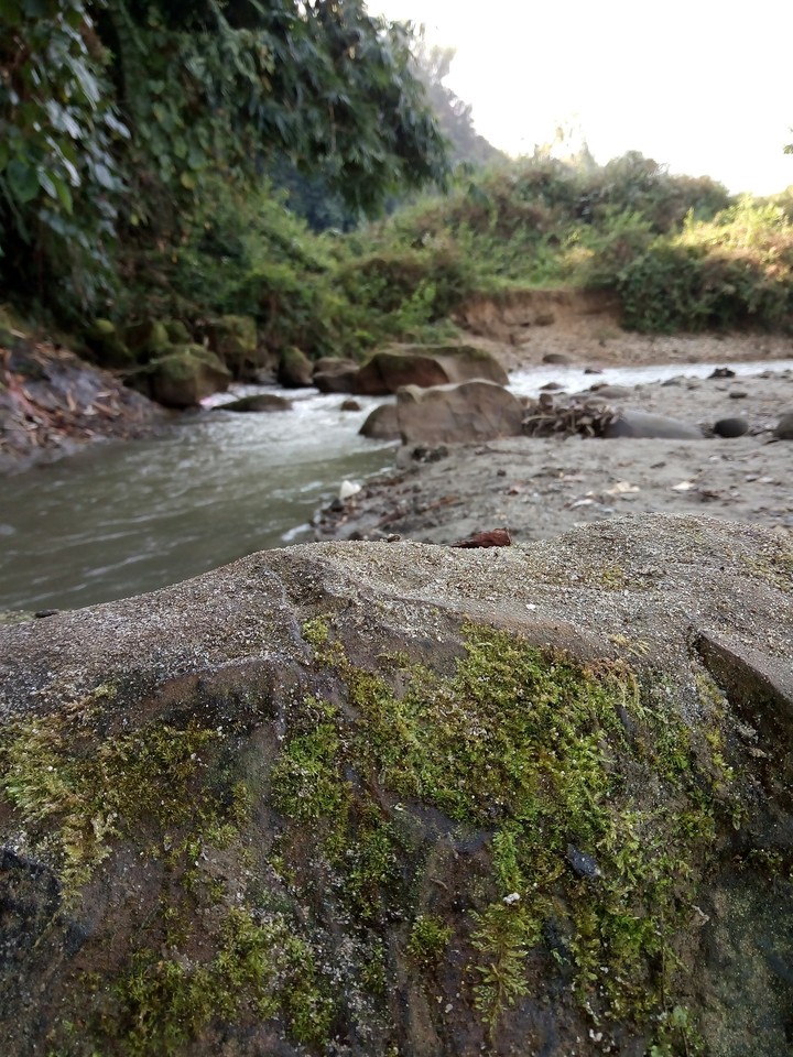 nature