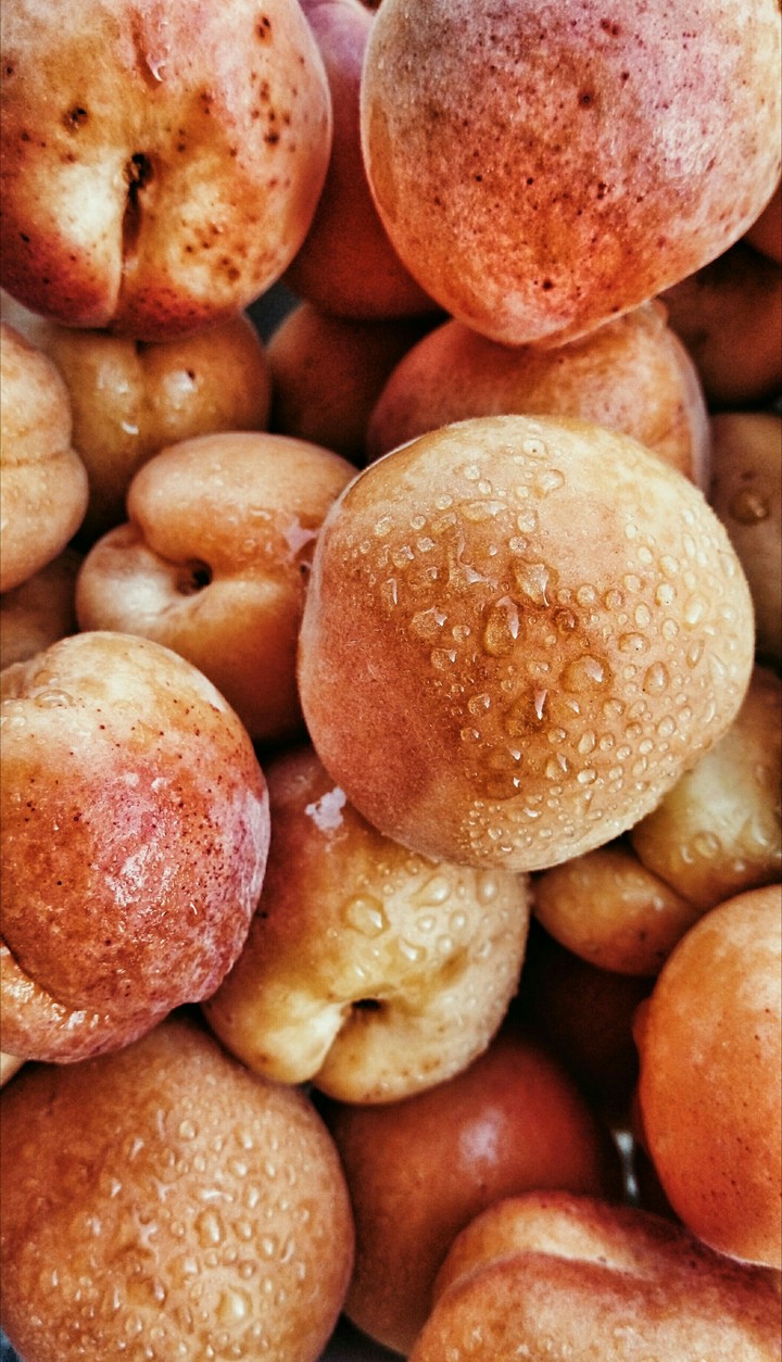Apricots