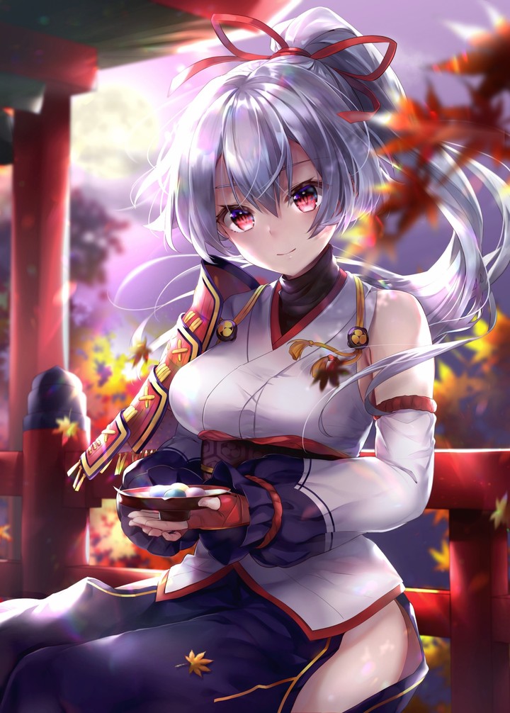 Anime : Fate (series)