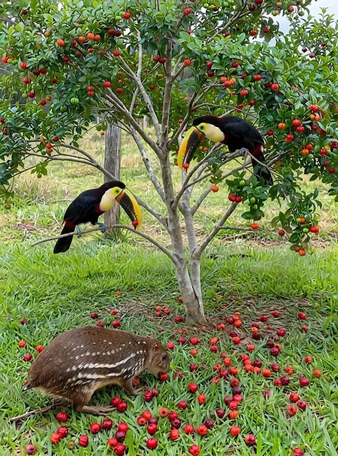 Nature is beautiful!