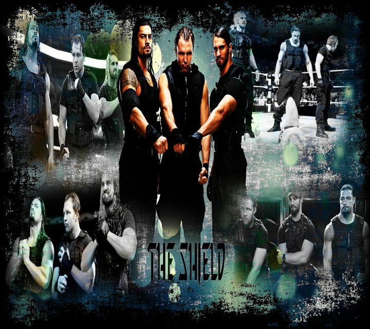 The Shield