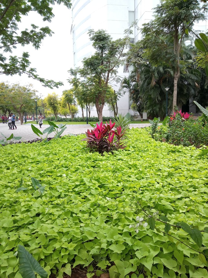 Go green
