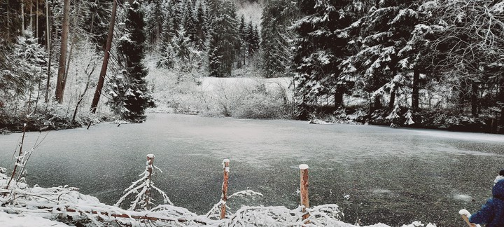 Winter lake
