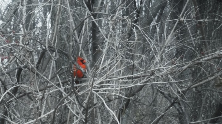 Little Red Friend