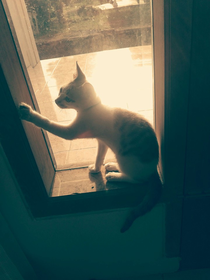 at the window