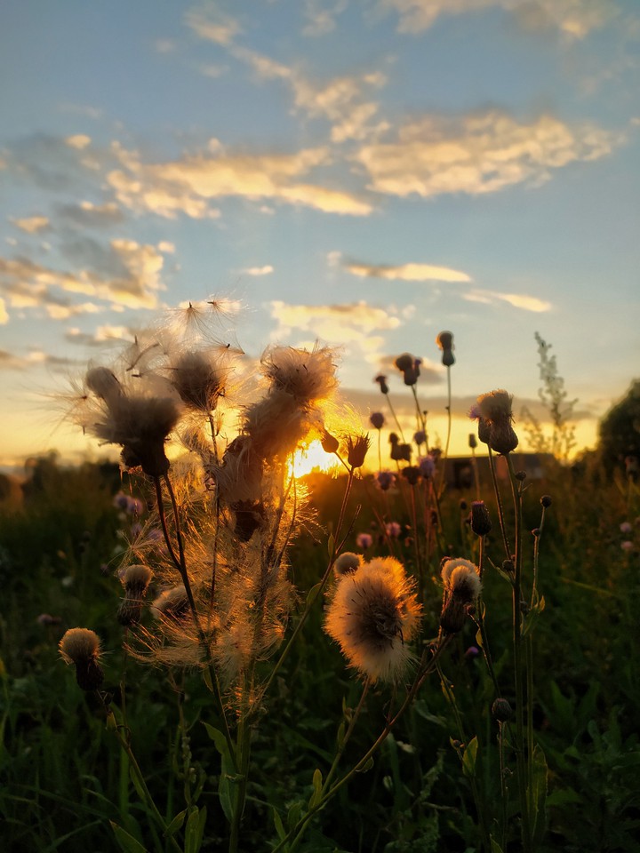 закат