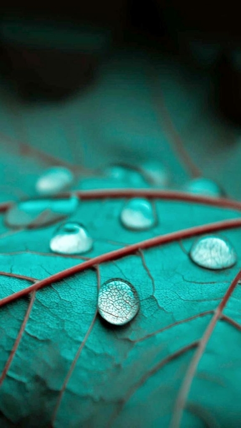 rain spot