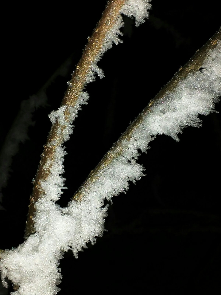 ❄