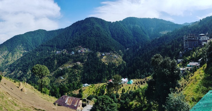 Indian Mountain Beauty