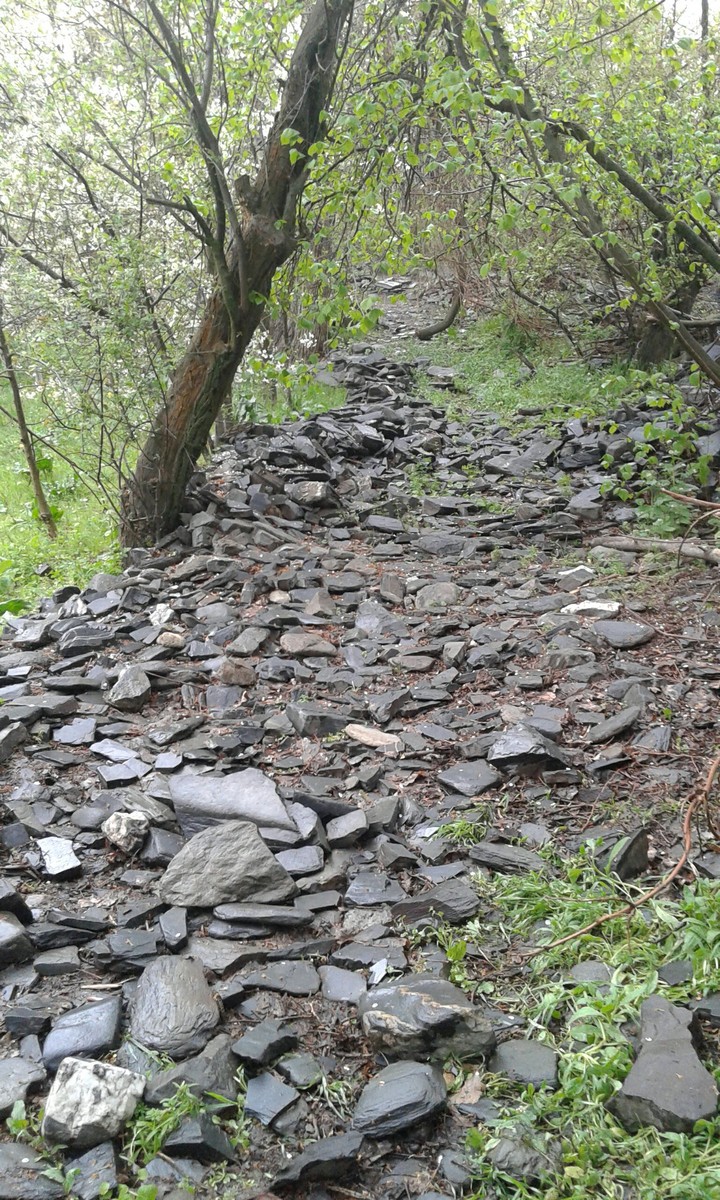 path