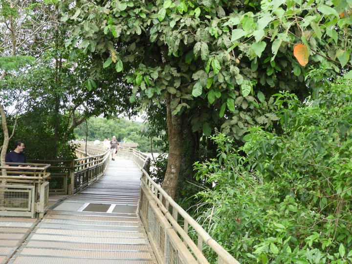 Pasarela