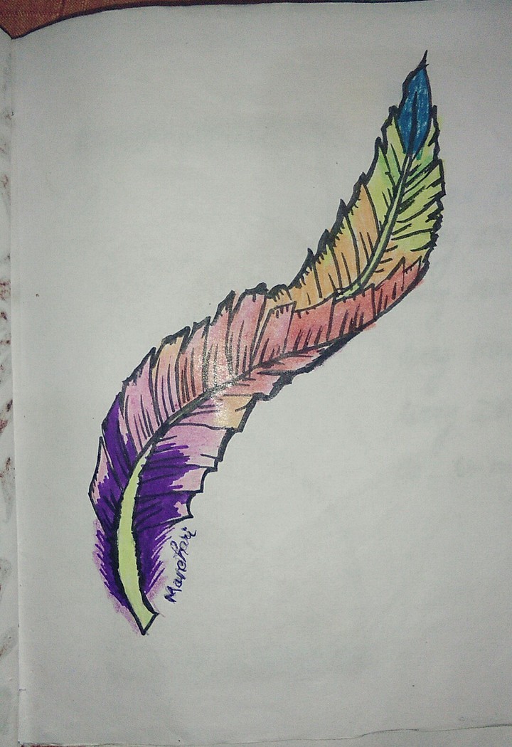 feather ?