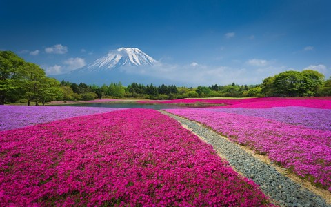 Nature