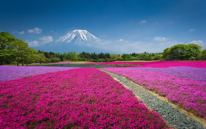 Nature