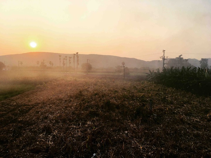 smoky evenings