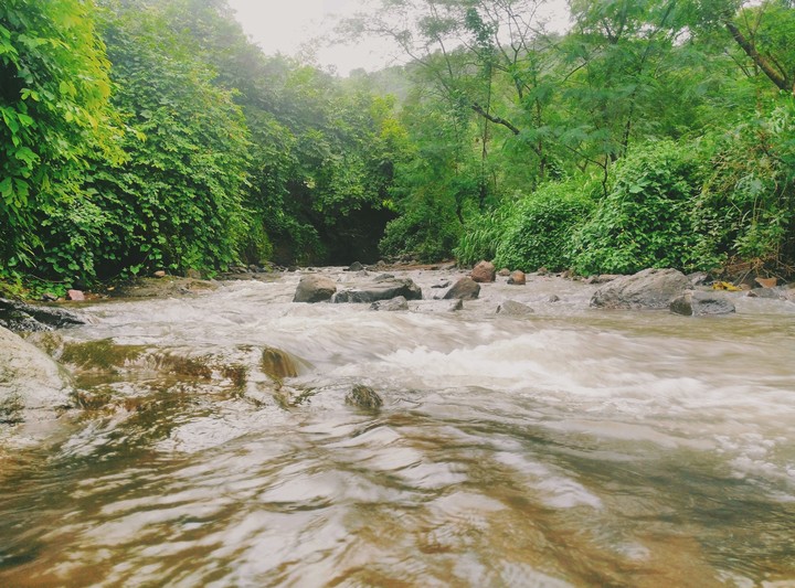 A Stream