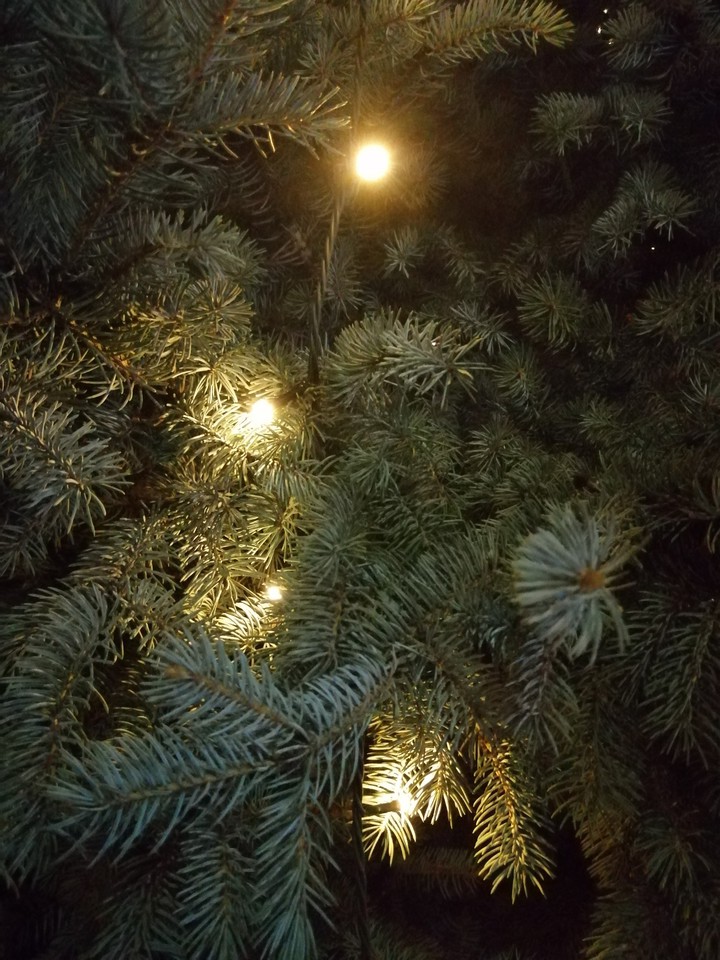 Новый_год