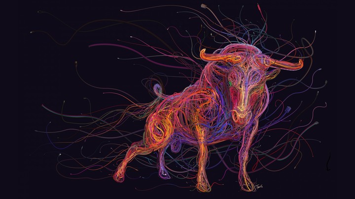 Digital Bull