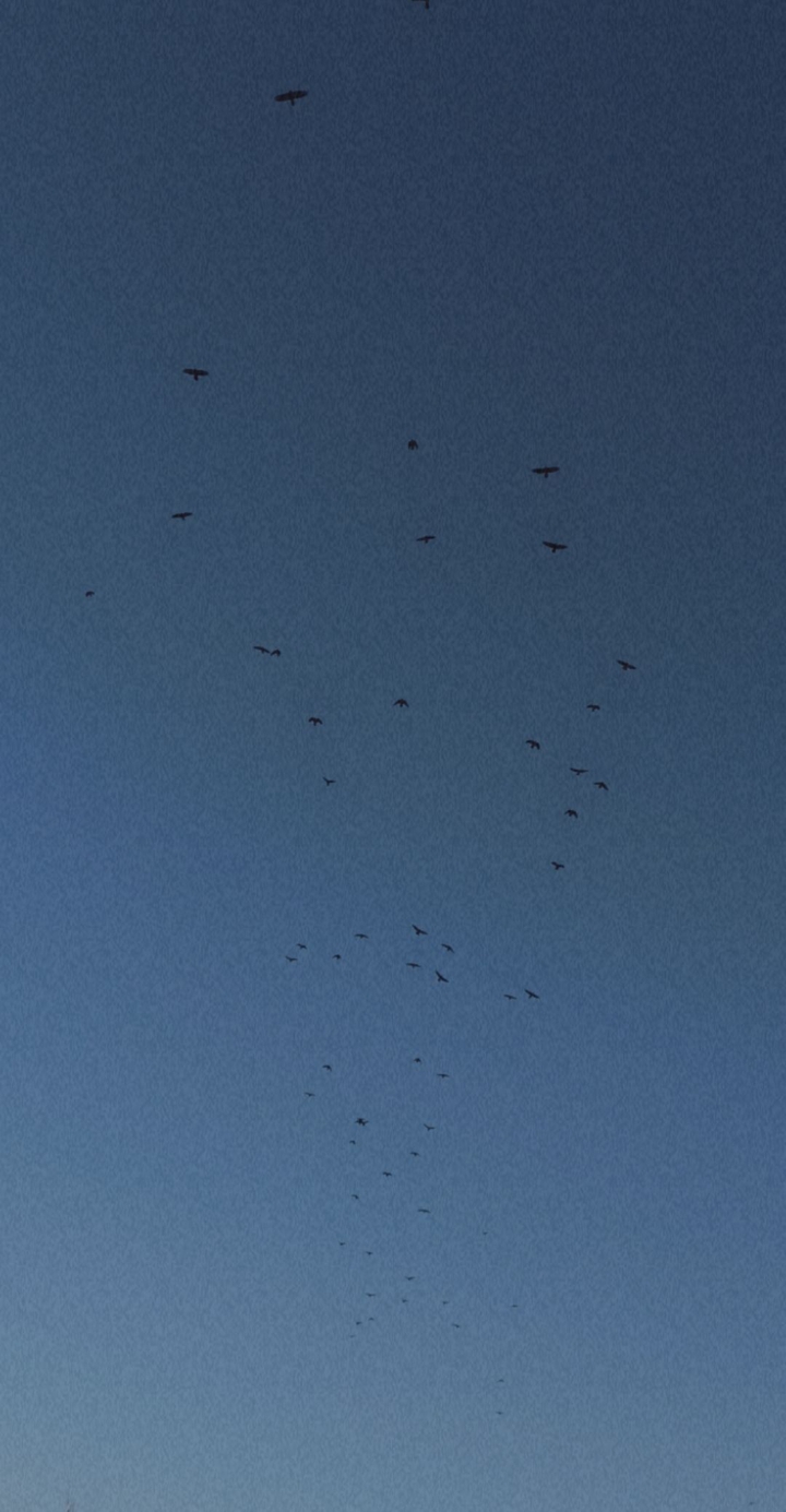 sky