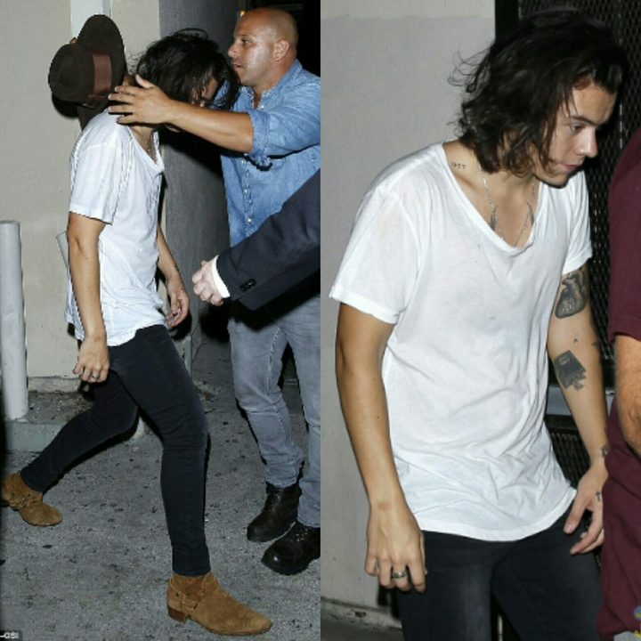 Harry Styles 