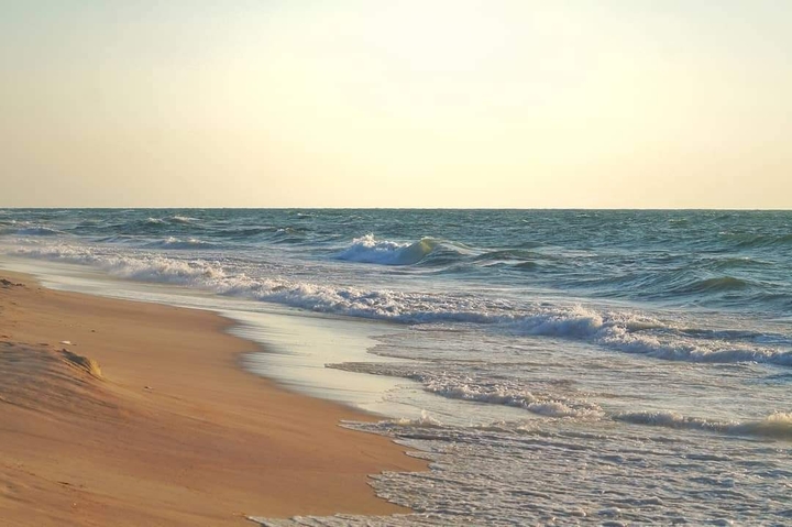 Ocean