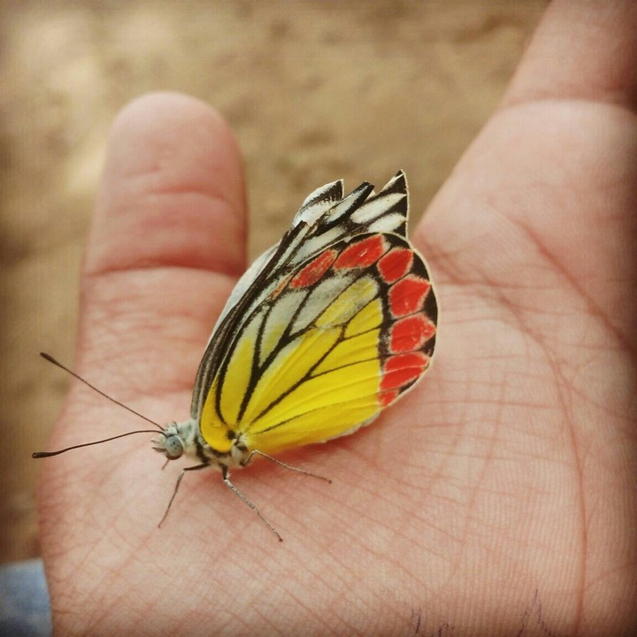 I love nature. ...