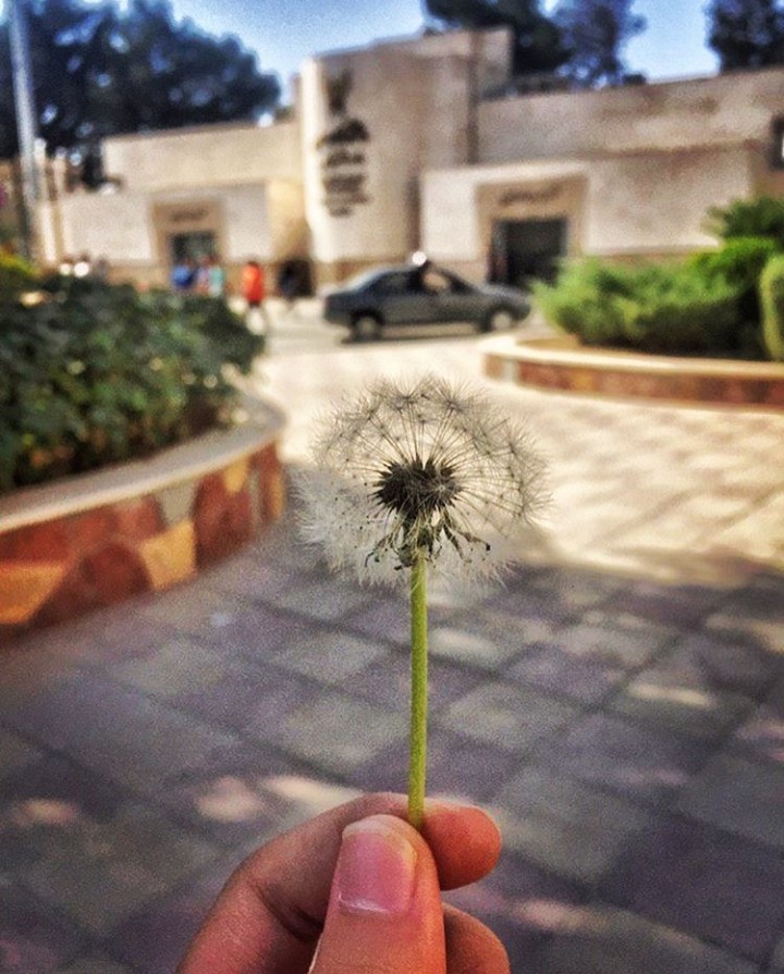 university