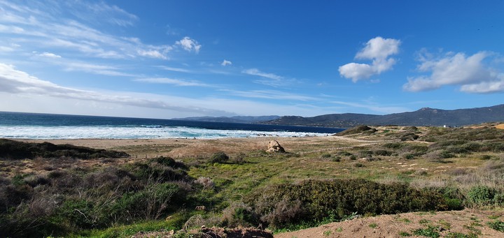 Corse