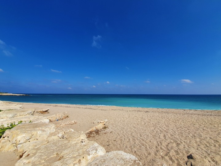 Summer sea