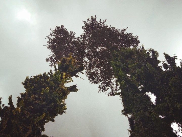 ooty diaries