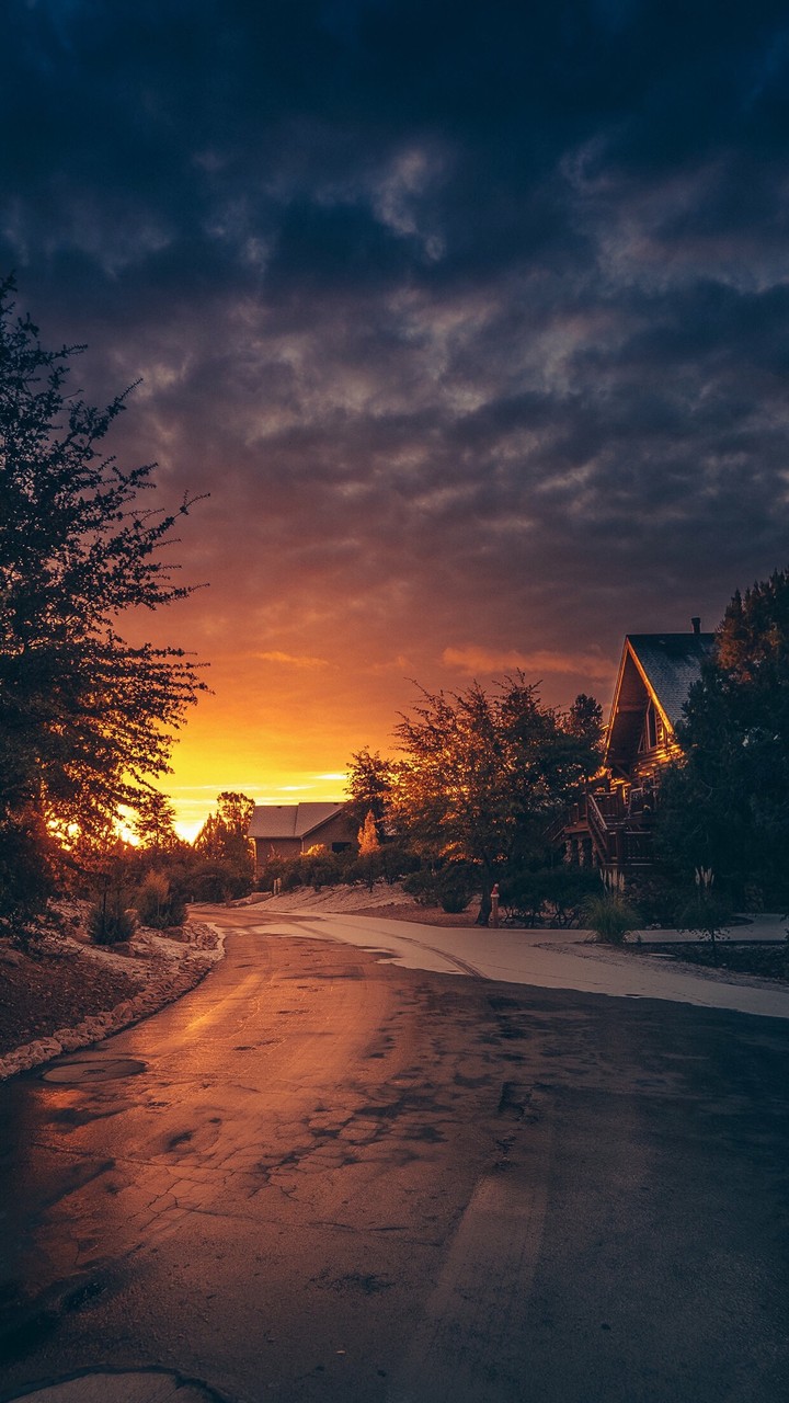 sunset