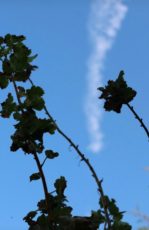 sky