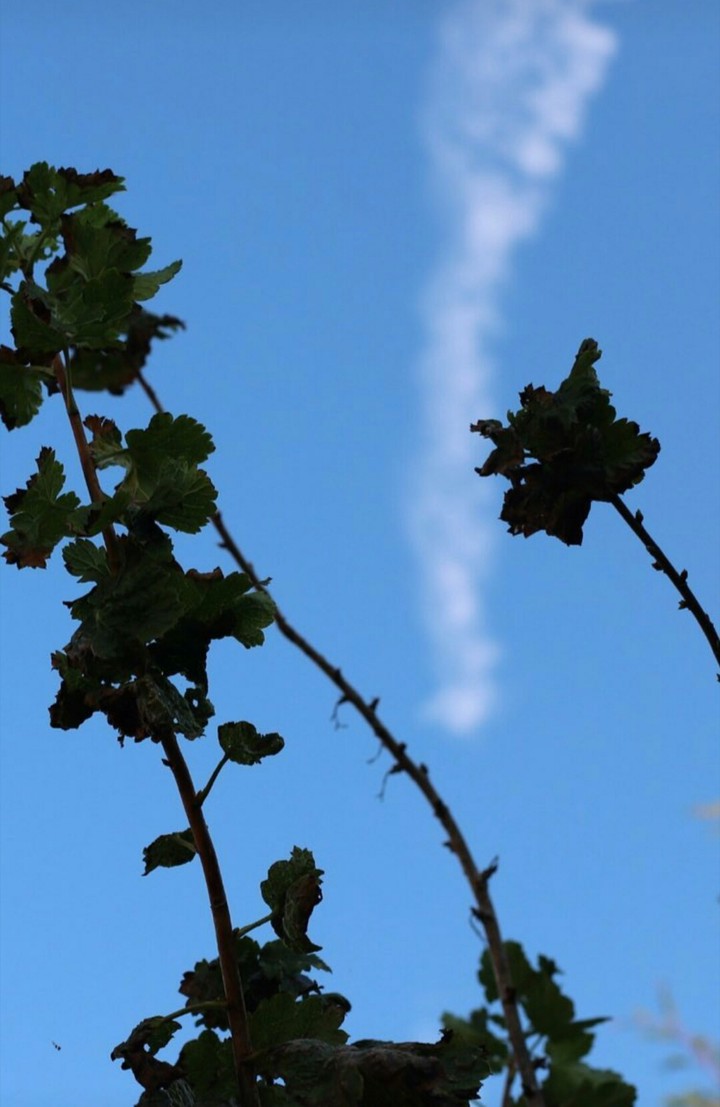sky