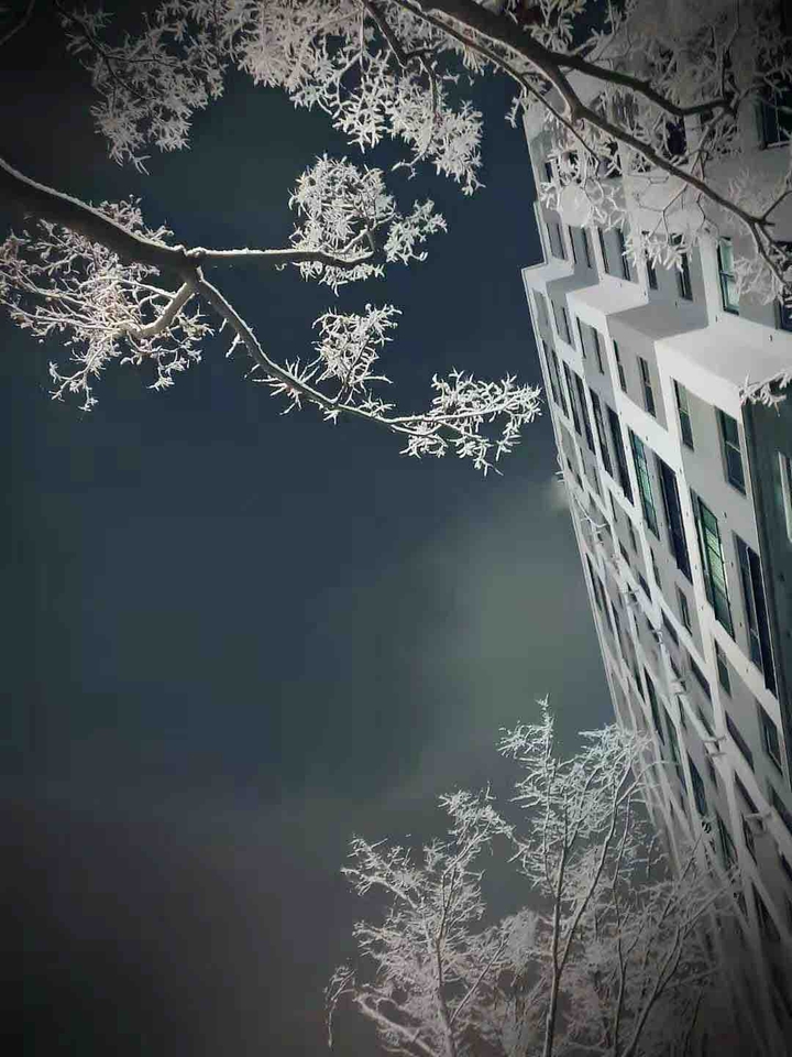 雪