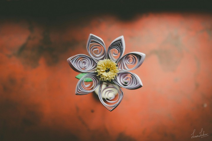 Paper Flower