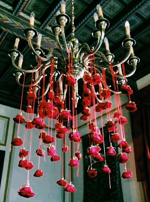 roses