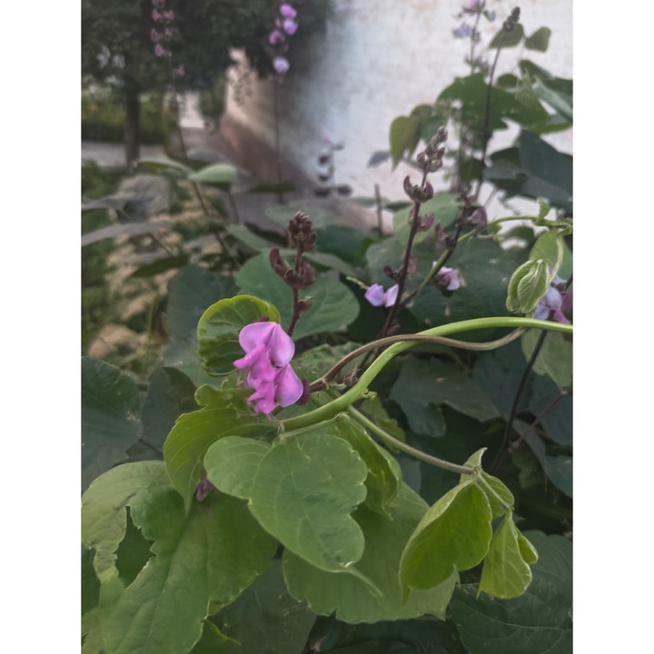 #Україна #літо #summer   2021
