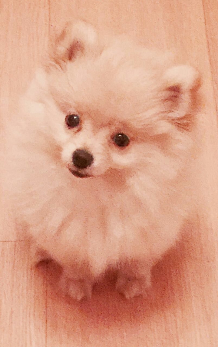chloe