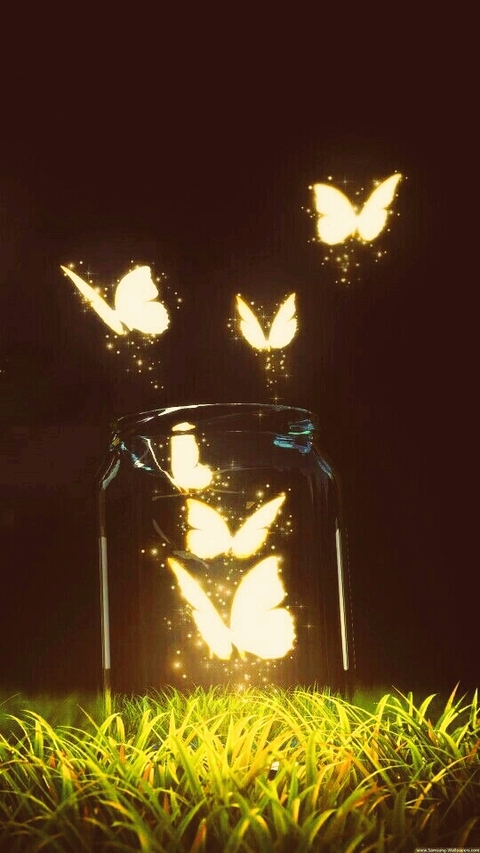 Evening Butterflies