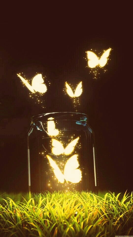 Evening Butterflies